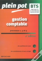 Capa do artigo Bts Comptabilité, Gestion Des Organisations; Gestion Comptable, Processus 1, 4 Et 5