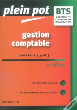 Capa do artigo Bts Comptabilité, Gestion Des Organisations; Gestion Comptable, Processus 1, 4 Et 5