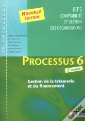 Capa do artigo Bts Comptabilité, Gestion Des Organisations; Proc 6 Gest Tresor Financ