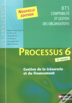 Capa do artigo Bts Comptabilité, Gestion Des Organisations; Proc 6 Gest Tresor Financ