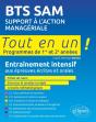 Bts Sam - Support À L'Action Managériale - Preview