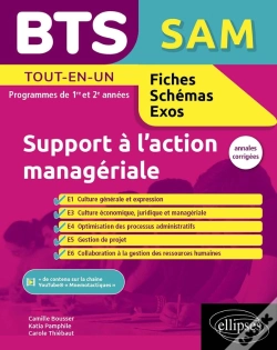 Capa do artigo Bts Sam : Support À L'Action Managériale