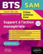 Bts Sam : Support À L'Action Managériale - Preview