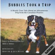 Bubbles Took A Trip
