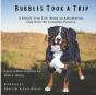 Bubbles Took A Trip - Preview