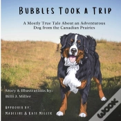Capa do artigo Bubbles Took A Trip