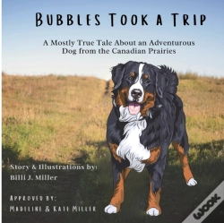Capa do artigo Bubbles Took A Trip