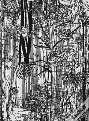 Capa do artigo Bucherwald