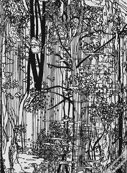 Capa do artigo Bucherwald