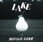 Bucolic Gone - Vinil - Preview