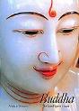 Buddha - Preview