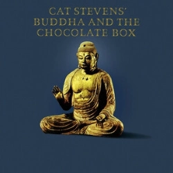 Capa do artigo Buddha and the Chocolate Box - Vinil