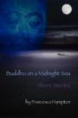 Buddha On A Midnight Sea - Short Stories - Preview