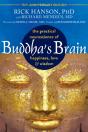 Buddha'S Brain - Preview