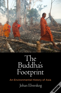 Capa do artigo Buddha'S Footprint