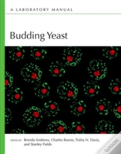 Capa do artigo Budding Yeast