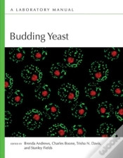 Capa do artigo Budding Yeast