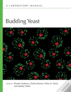 Capa do artigo Budding Yeast
