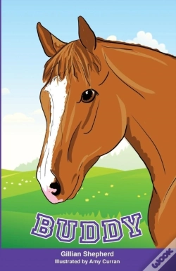 Capa do artigo Buddy