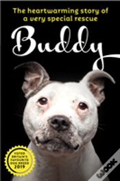 Capa do artigo Buddy