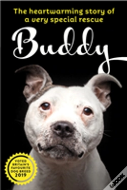 Capa do artigo Buddy