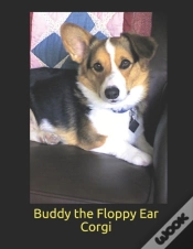 Capa do artigo Buddy The Floppy Ear Corgi