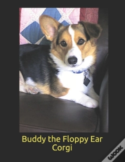 Capa do artigo Buddy The Floppy Ear Corgi