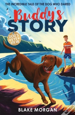 Capa do artigo Buddy'S Story