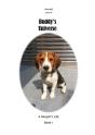 Buddy'S Universe - A Beagle'S Life Book I - Preview