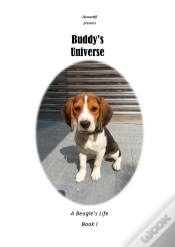Capa do artigo Buddy