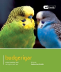 Budgeriegars - Pet Friendly - Preview