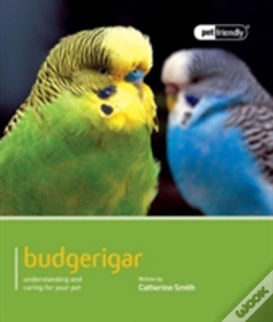 Capa do artigo Budgeriegars - Pet Friendly