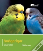 Capa do artigo Budgeriegars - Pet Friendly
