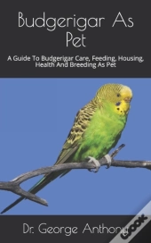 Budgerigar As Pet