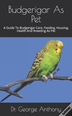Capa do artigo Budgerigar As Pet