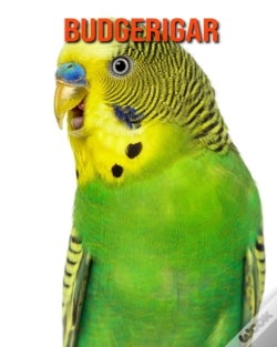 Capa do artigo Budgerigar