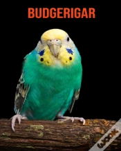 Capa do artigo Budgerigar