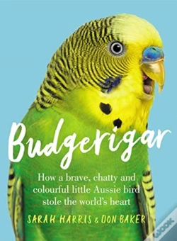 Capa do artigo Budgerigar