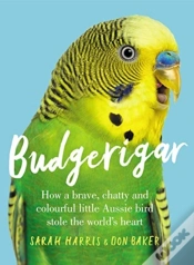 Capa do artigo Budgerigar