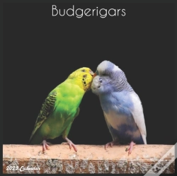 Capa do artigo Budgerigars 2022 Calendar