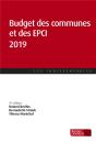 Budget Des Communes Et Des Epci (Édition 2019) - Preview
