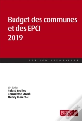 Budget Des Communes Et Des Epci (Édition 2019)