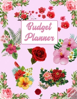 Capa do artigo Budget Planner