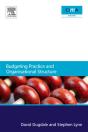 Budgeting Practice And Organisational Structure - Preview