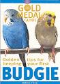 Budgie - Preview