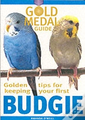 Capa do artigo Budgie