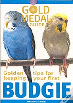 Capa do artigo Budgie