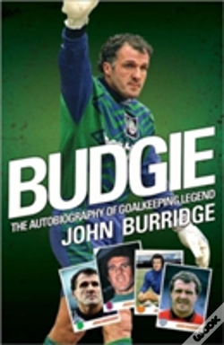 Capa do artigo Budgie