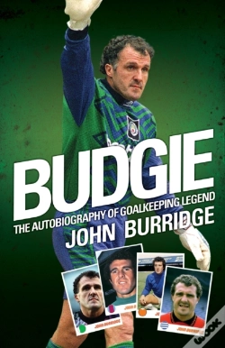 Capa do artigo Budgie