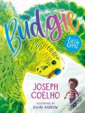 Budgie